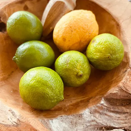 Ron De Mar - Es Trenc Отель типа 